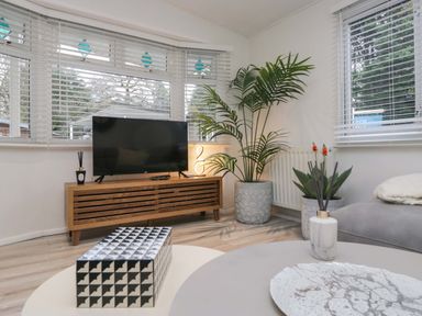 A living room with a television and plants at Cosy Corner White Cross Bay near Troutbeck Bridge
