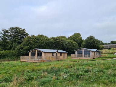 Two wooden lodges with decks on grassy land surrounded by trees at Bay in Ilfracombe