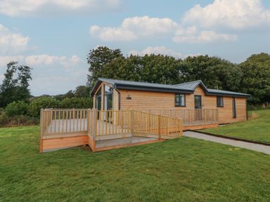 A wooden cabin with a deck and ramp surrounded by grass and trees at Bay in Ilfracombe