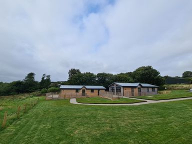 Two wooden lodges with metal roofs on a grassy area with pathways surrounded by trees at Cove Lodge in Ilfracombe