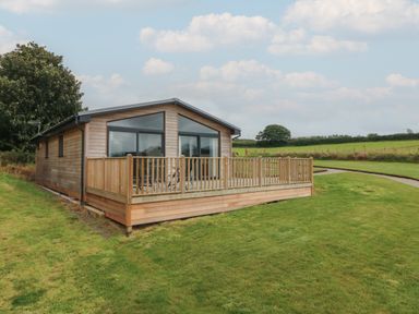 A wooden cabin with a deck surrounded by grass and trees at Cove Lodge in Ilfracombe