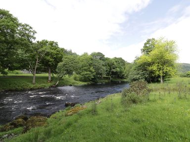 A river flowing through a grassy area with trees on both sides at Beaver Grove Cottage in Betws-Y-Coed