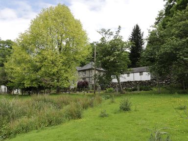 A stone and white building surrounded by trees and grassy area at Beaver Grove Cottage in Betws-Y-Coed