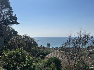 A view of the sea with rooftops and trees in the foreground at Waves Edge in Looe