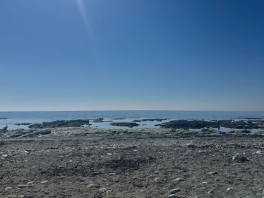 A rocky shoreline with tidal pools and the sea under a clear blue sky at Waves Edge in Looe