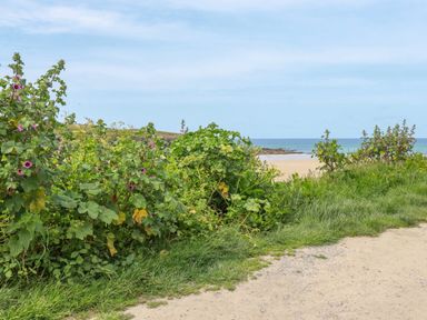 A coastal path with green bushes and pink flowers overlooking a sandy beach and sea at Pepper Cove near St Merryn
