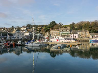 A harbor with boats docked by buildings and trees near St Merryn