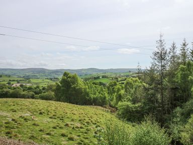 A grassy hillside with trees and rolling green fields under a cloudy sky at Holly Cottage in Llechwedd near Conwy
