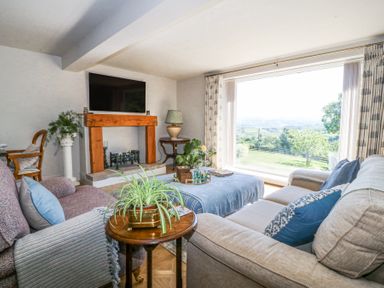 A living room with couches a wooden fireplace and a large window overlooking a garden at Holly Cottage in Llechwedd near Conwy