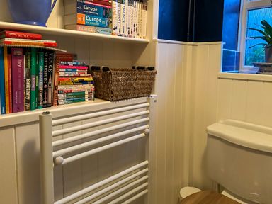 A bathroom corner with a toilet a radiator a window with a plant on the sill and shelves filled with travel books and a wicker basket