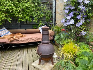 A garden seating area with a brown cushioned bench with two dogs sleeping on it plants around an outdoor fire pit at Lamorna Cottage in Chipping Norton