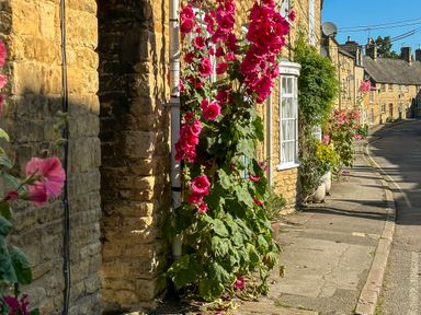 A street with stone houses and tall pink flowers growing alongside the sidewalk at Lamorna Cottage in Chipping Norton