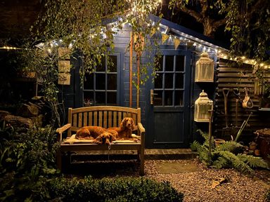 A garden shed with two dogs lying on a wooden bench outside surrounded by garden tools and plants at Lamorna Cottage in Chipping Norton
