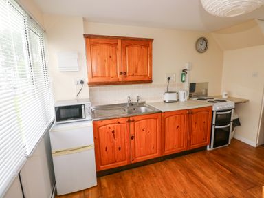A kitchen with wooden cabinets a white microwave and fridge a stainless steel sink a white toaster kettle and stove at Freshwater East in Freshwater East