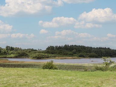A grassy field with shrubs and a river with trees in the background at Nelly's House in Gortahork County Donegal
