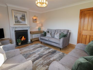 A living room with a fireplace grey sofas a wooden door and a patterned rug at Nelly's House in Gortahork County Donegal