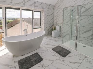 A bathroom with a bathtub toilet shower and two gray mats at Little Pale Near Whitland