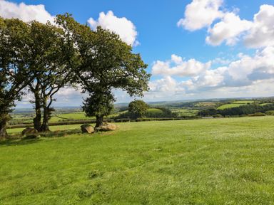 A grassy field with trees and rocks under a blue sky with clouds at Little Pale Near Whitland