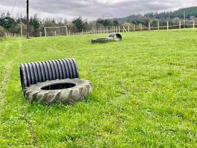 A grassy field with tires and plastic tubes on the ground and a soccer goal near a fenced area in the background at Little Pale Near Whitland