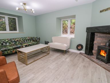 A living room with a sofa and fireplace at Frongoch Old Power House in Dolgellau