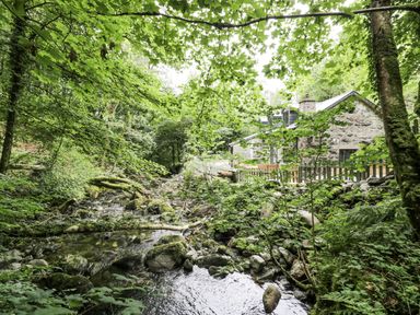 A house near a stream surrounded by trees at Frongoch Old Power House in Dolgellau
