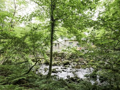A house surrounded by trees and a stream at Frongoch Old Power House in Dolgellau