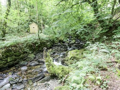A stream with rocks and a wooden shed in a wooded area at Frongoch Old Power House in Dolgellau