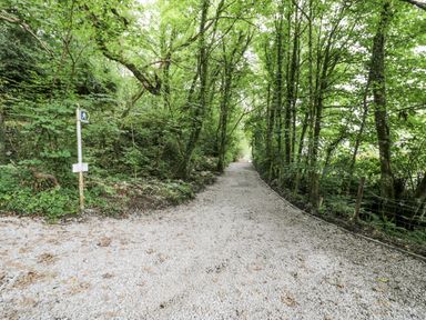 A gravel path surrounded by trees at Frongoch Old Power House in Dolgellau