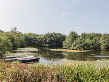 A small lake with a wooden boat and a dock surrounded by trees at Clearbrook Lodge in Llanarthney nr Llandeilo Carmarthenshire