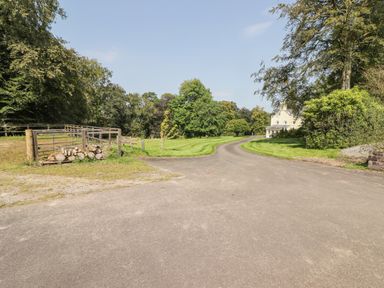A driveway leading to a house with grass and trees surrounding it at Meadow Cottage in Llanarthney nr Llandeilo Carmarthenshire