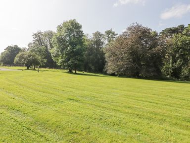 A large grassy field with several trees and a road on the left at Meadow Cottage in Llanarthney nr Llandeilo Carmarthenshire