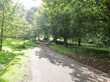 A curved pathway through a wooded area with trees and grass at Meadow Cottage in Llanarthney nr Llandeilo Carmarthenshire