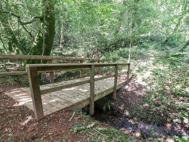 A small wooden bridge over a stream in a wooded area at Meadow Cottage in Llanarthney nr Llandeilo Carmarthenshire