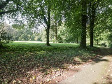 A shaded pathway next to a grassy area with trees at Meadow Cottage in Llanarthney nr Llandeilo Carmarthenshire