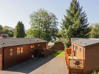 Two wooden lodges with small porches separated by a paved path and trees in the background at Lakeland View Ambleside 86 White Cross Bay near Windermere
