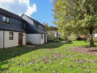 A residential area with houses facing a grassy lawn with scattered leaves and a tree at Coombe Cottage in Falmouth