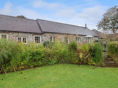 A stone building with multiple windows behind a garden with tall plants and grass at St Dogwells Barn near Wolfscastle