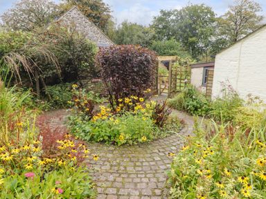 A garden with yellow flowers and a stone path near a stone wall and a white building at St Dogwells Barn near Wolfscastle