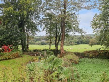 A garden with trees large green plants and a red dragon sculpture overlooking a field with sheep at St Dogwells Barn near Wolfscastle
