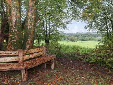 A wooden bench under large trees overlooking a green field with cows at St Dogwells Barn near Wolfscastle