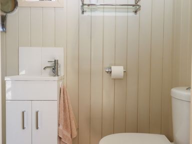 A small bathroom with a white cabinet sink holding a hand soap dispenser a beige towel hanging on the cabinet toilet paper on a holder and a toilet at Shepherds Joy Kennerleigh near Cheriton Fitzpaine