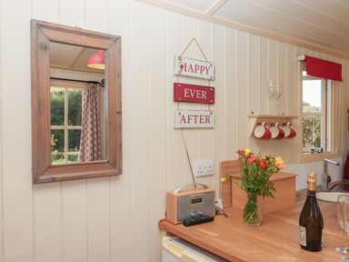 A kitchen countertop with flowers a bottle and glasses a radio and cups hanging and a mirror on the wall at Shepherds Bliss in Kennerleigh near Cheriton Fitzpaine