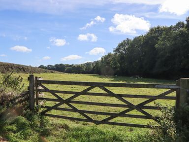 A wooden gate opening to a grassy field with trees and sheep at Shepherds Bliss in Kennerleigh near Cheriton Fitzpaine