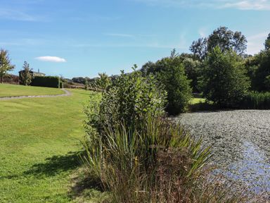 A pond with plants around it and a grassy field with a path and a house in the distance at Shepherds Bliss Kennerleigh near Cheriton Fitzpaine