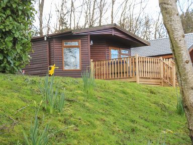 A wooden cabin with a porch on a grassy slope with daffodils and trees at Park View Lodge Arnside 7 South Lakeland Leisure Village near Carnforth