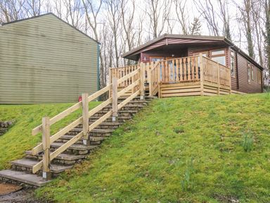 Stone stairs with wooden handrails leading up to a wooden cabin with a deck surrounded by grass and trees at Park View Lodge Arnside 7 South Lakeland Leisure Village near Carnforth