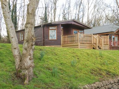 A wooden cabin with a railing on a grassy slope near trees at Park View Lodge Arnside 7 in South Lakeland Leisure Village near Carnforth