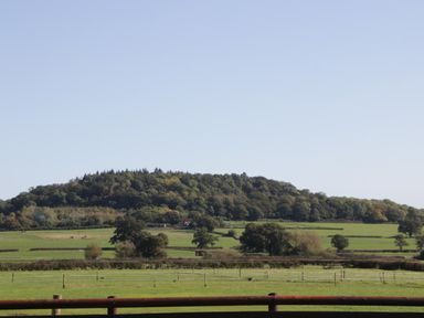 A green field with trees and a hill in the background at Leadon View Oak in Upleadon near Newent