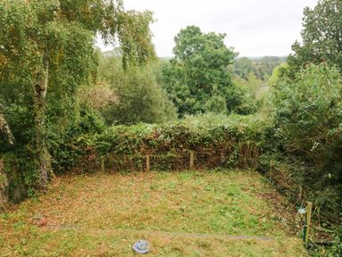 A garden area with grass trees and bushes at Rushfield in St Dogmaels North Pembrokeshire