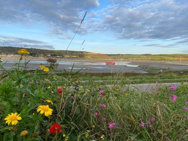 A coastal view with wildflowers in the foreground and a red boat on the shore at Rushfield in St Dogmaels North Pembrokeshire